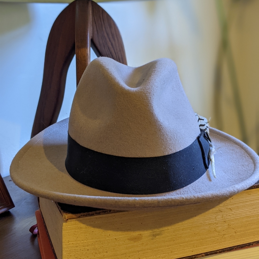 Medium brim gray fedora